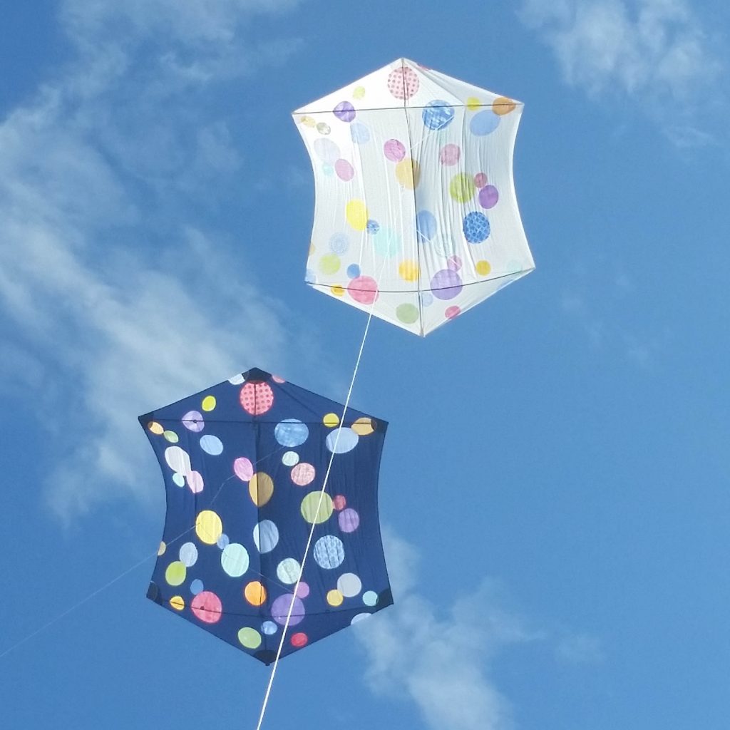 Thrall Rokkaku Kite
