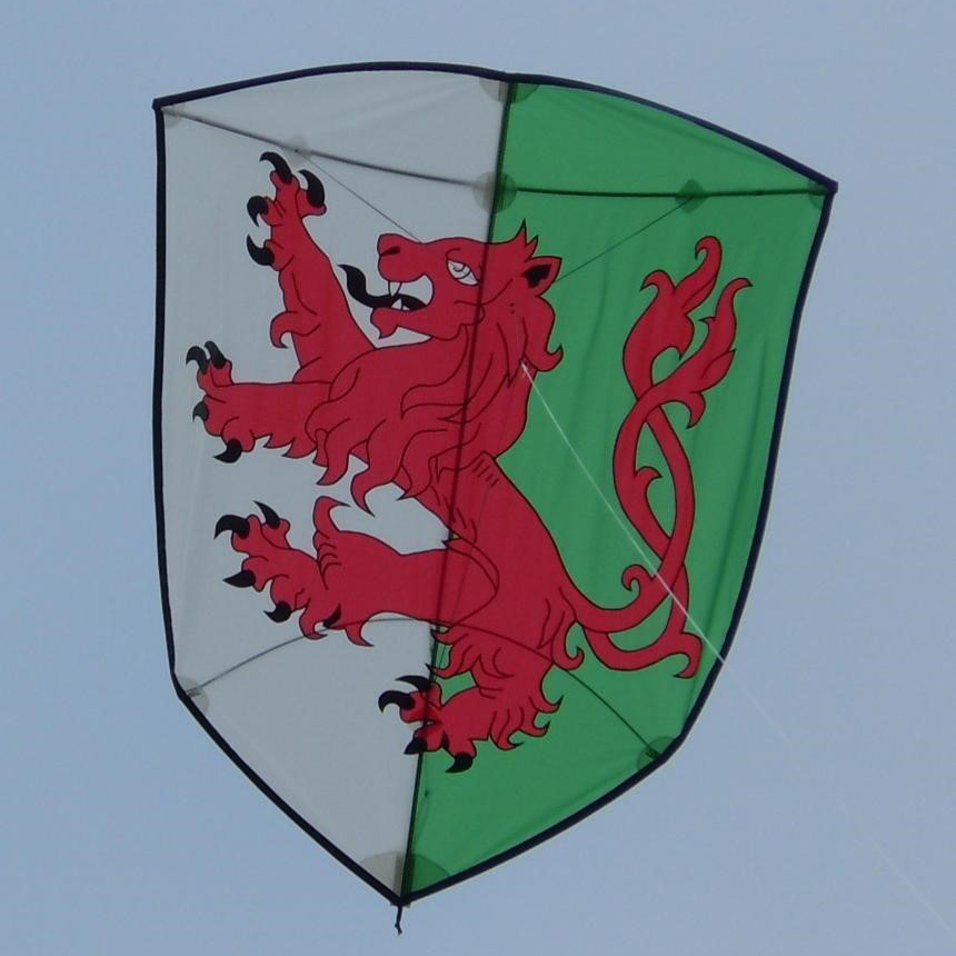 Shield Kite