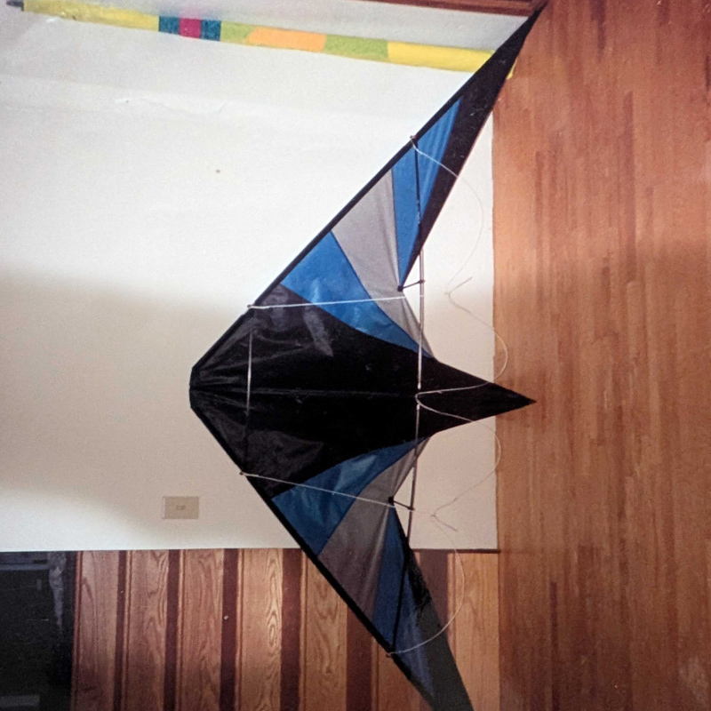 Thunderbolt Sport Kite