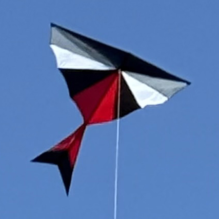 Leonardo Kite